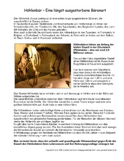 Höhlenbär-Steckbrief.pdf